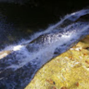 Meet your Posher, Nichole